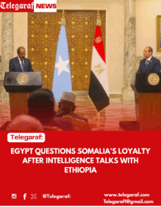 Egypt Questions Somalia’s Loyalty After Intelligence Talks with Ethiopia