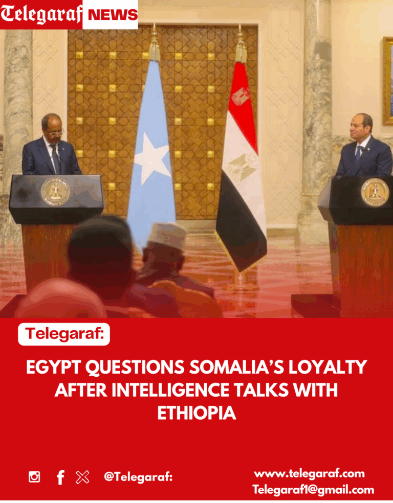 Egypt Questions Somalia’s Loyalty After Intelligence Talks with Ethiopia